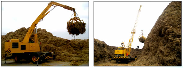 1492480274519466.jpg 未命名-5.jpg